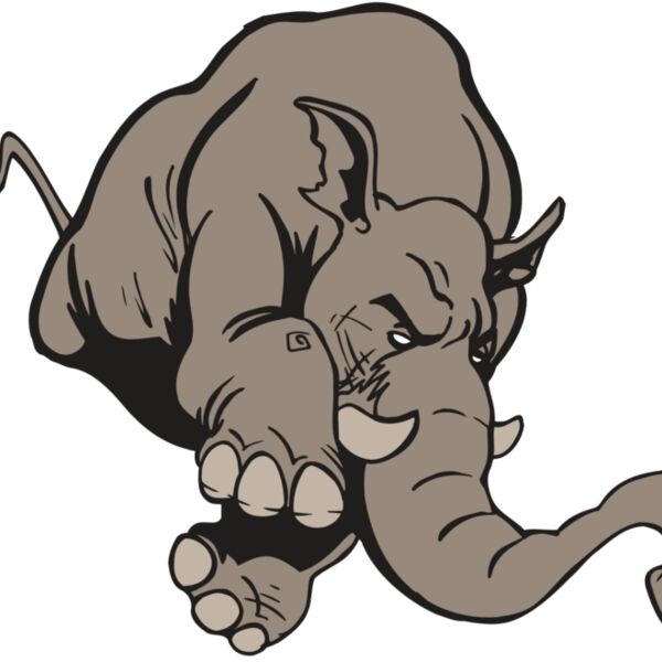 AR5 Elephant 17 RQC Thumbnail