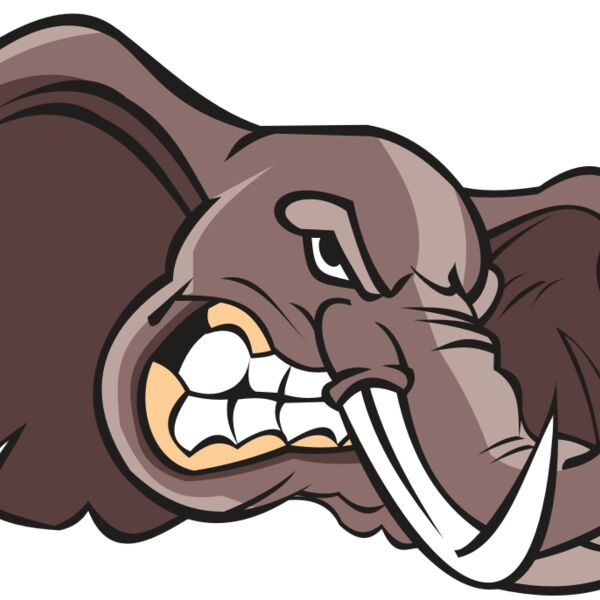 ELEPHANT HD0501 RQC Thumbnail