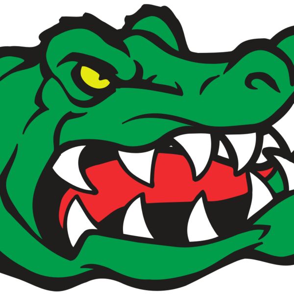 AR GATOR 19 RQC Thumbnail