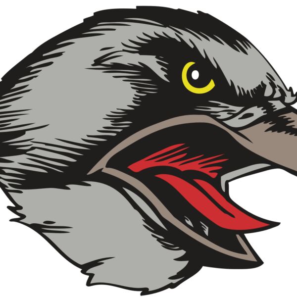 BAW HWK FLCN 13 RC Thumbnail