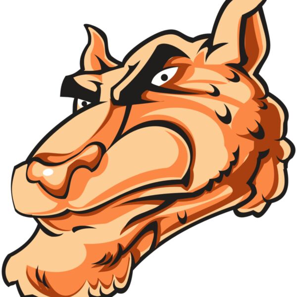 CHEETAH HD0502 RQC Thumbnail