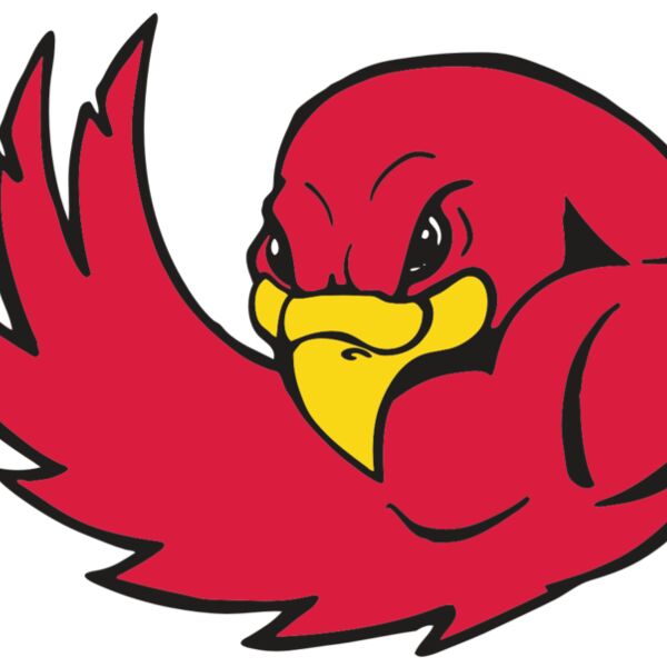 AR FALCON 18 RC Thumbnail