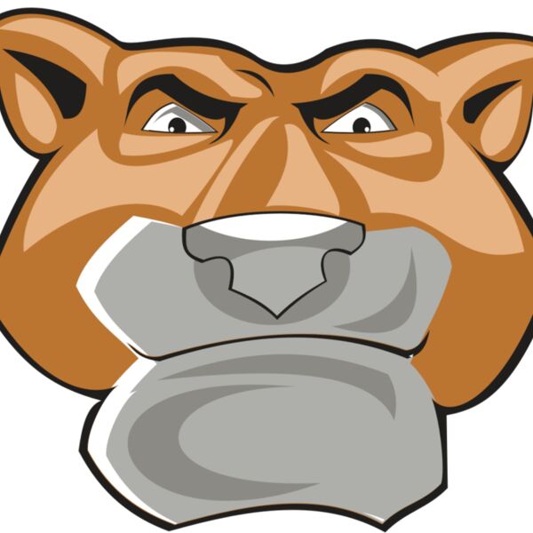 COUGAR HD0502 RQC Thumbnail