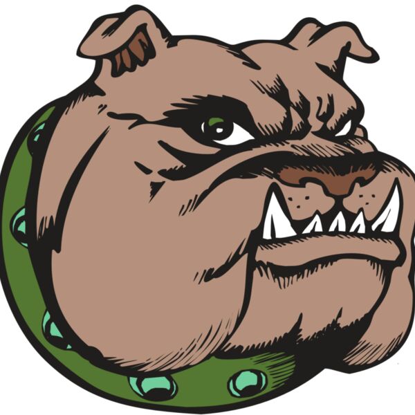 BAW BULLDOG 14 RC Thumbnail