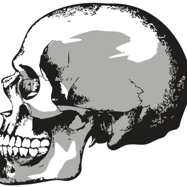 AR24 SKULL 02 RQC Thumbnail