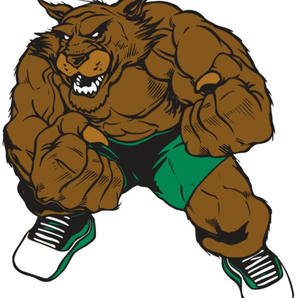 AR WILDCAT 45 RC Thumbnail