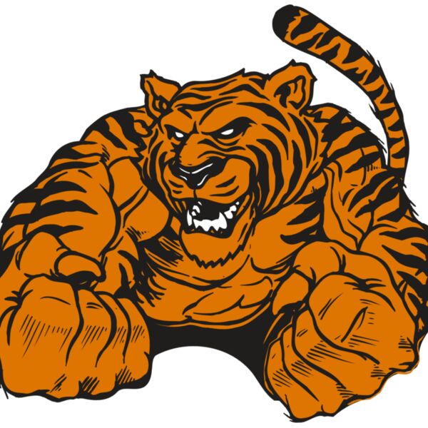 AR TIGER 55 RC Thumbnail