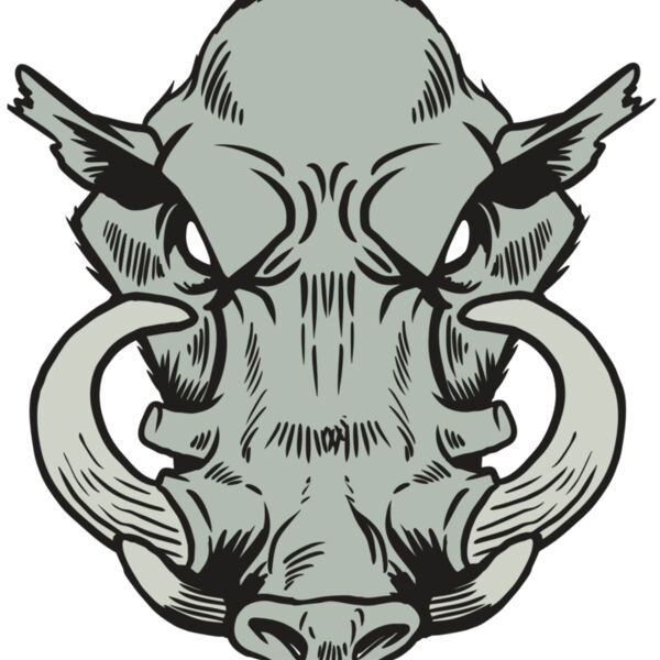 AR20 RAZORBACK 38 RQC Thumbnail