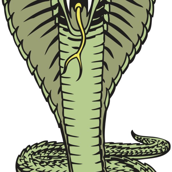 BAW SNAKE 15 RC Thumbnail