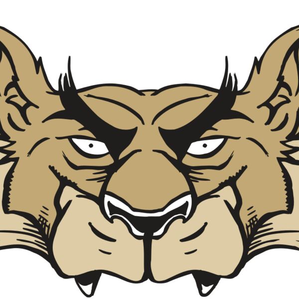 AR5 Wolf 28 RQC Thumbnail