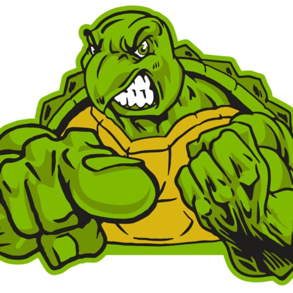 AR31 TURTLE 02 RQC Thumbnail