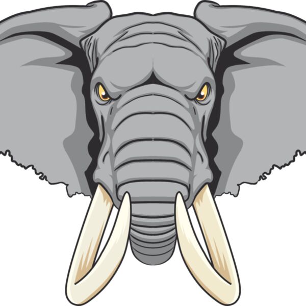 Elephent Head Thumbnail