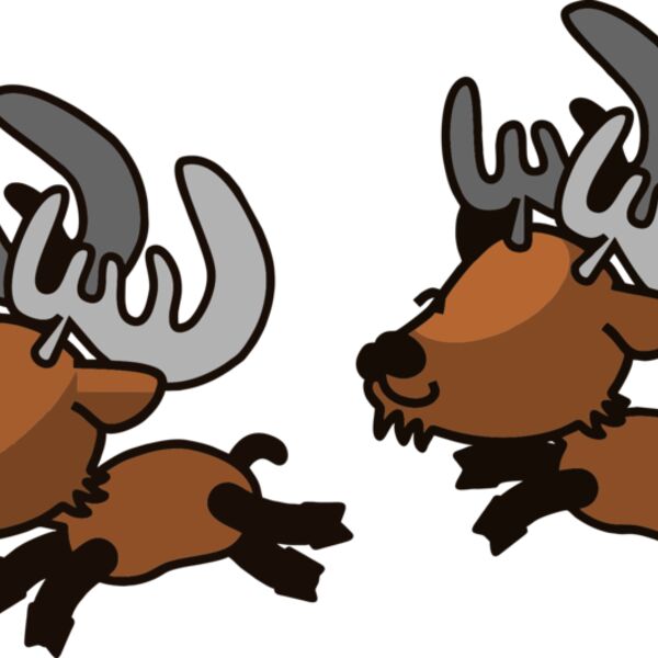 Reindeer 010 Thumbnail