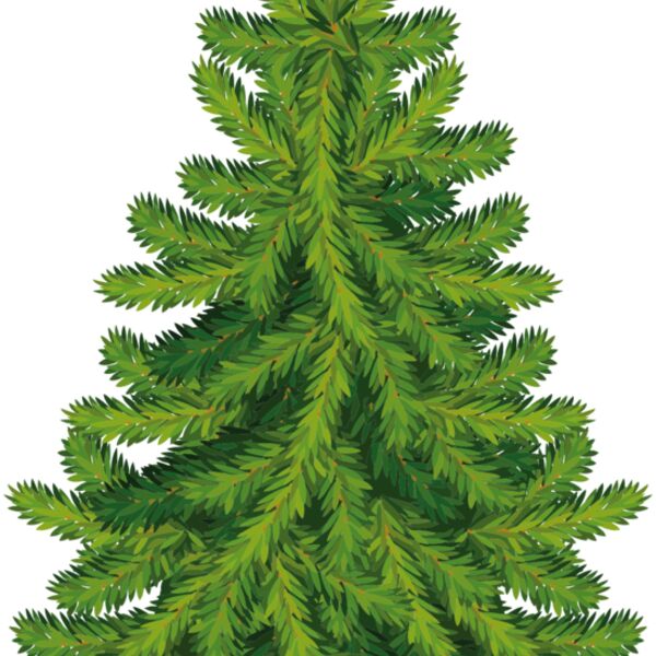 Christmas Trees 006 Thumbnail